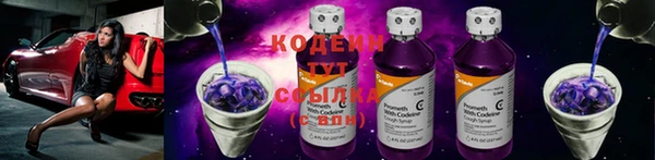 spice Лагань