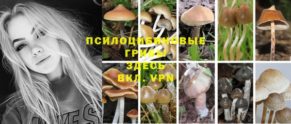 дмт Кукмор