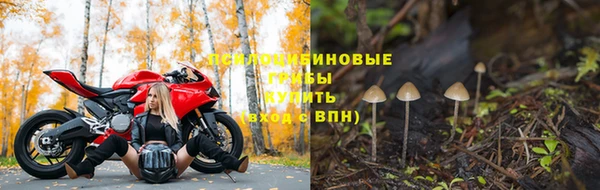 spice Лагань