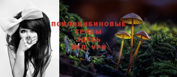 стафф Ладушкин