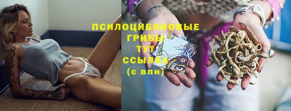 бутират Лабытнанги