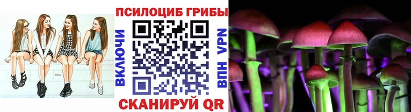 Псилоцибиновые грибы ЛСД  кракен ссылки  Печоры 